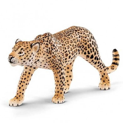 Imagen leopardo Imagen leopardo