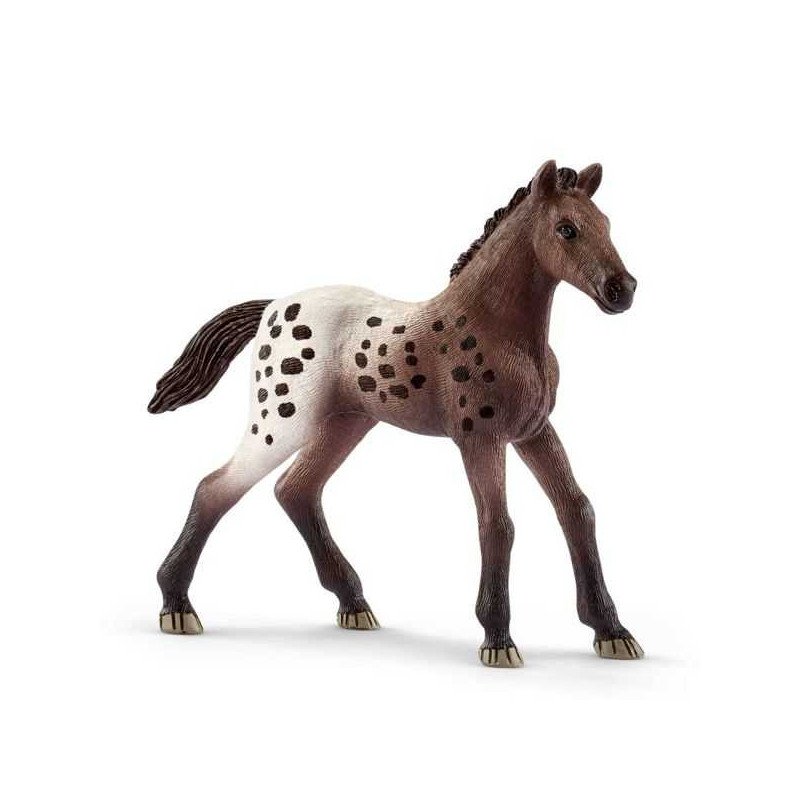 Imagen potro appaloosa