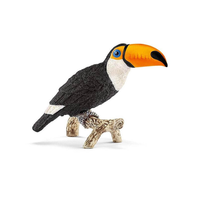 Imagen tucan