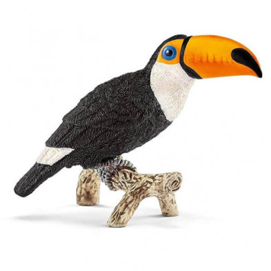 Imagen tucan