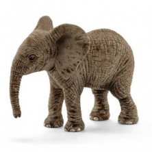 Imagen cria elefante africano