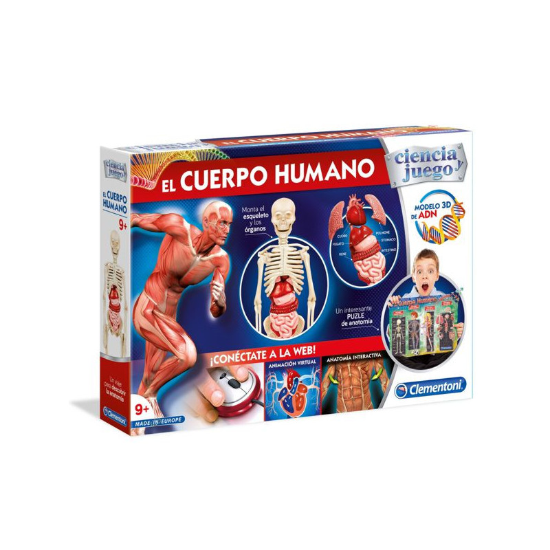 Imagen el cuerpo humano Imagen el cuerpo humano