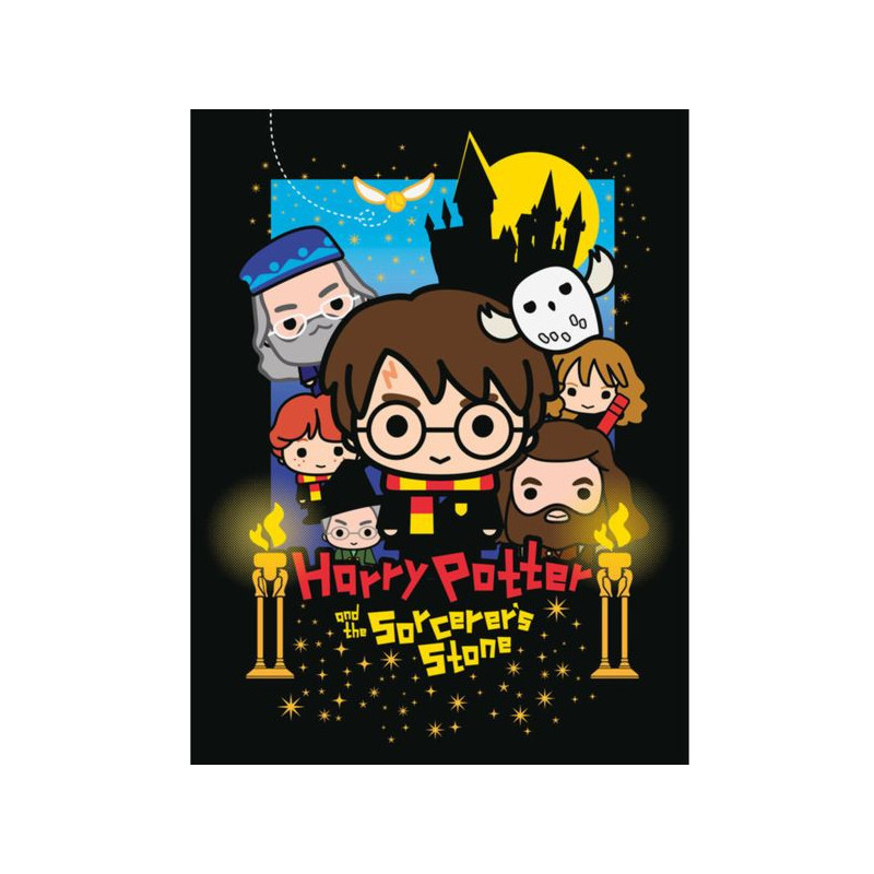 Imagen cuadro lona harry potter piedra filosofal 30x40cm