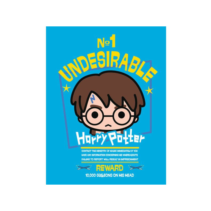 Imagen cuadro de lona harry potter n1 undesirable 30x40cm