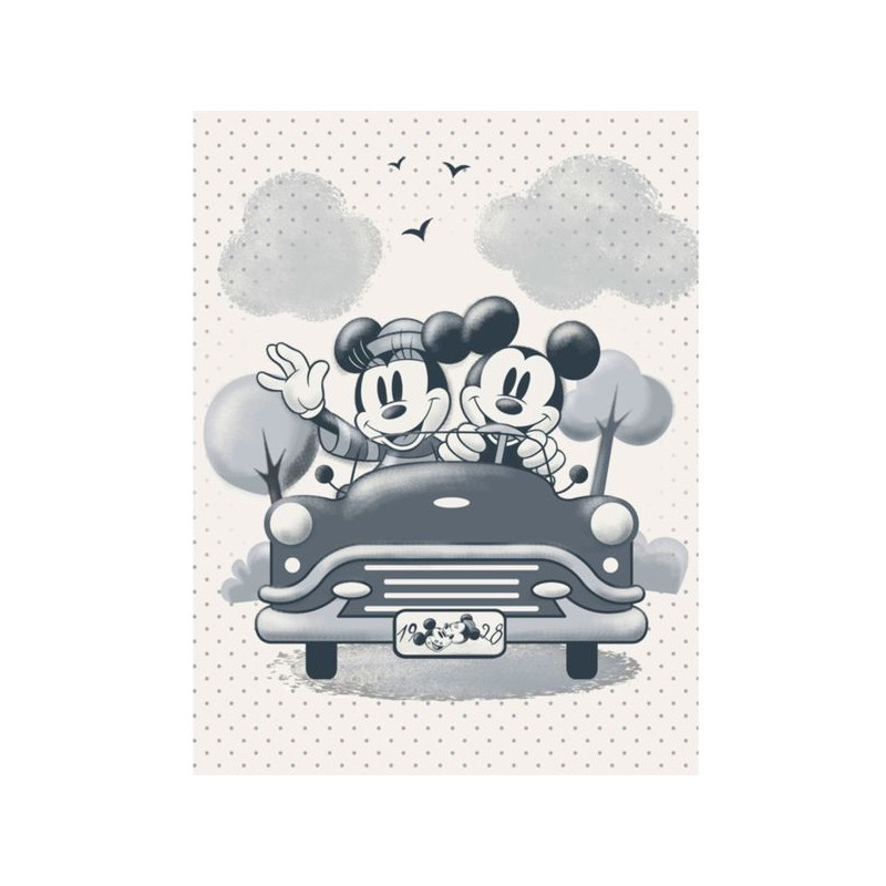 Imagen cuadro de lona mickey y minnie en coche 30x40cm