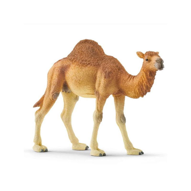 Imagen dromedario schleich 14x3.4x10cm