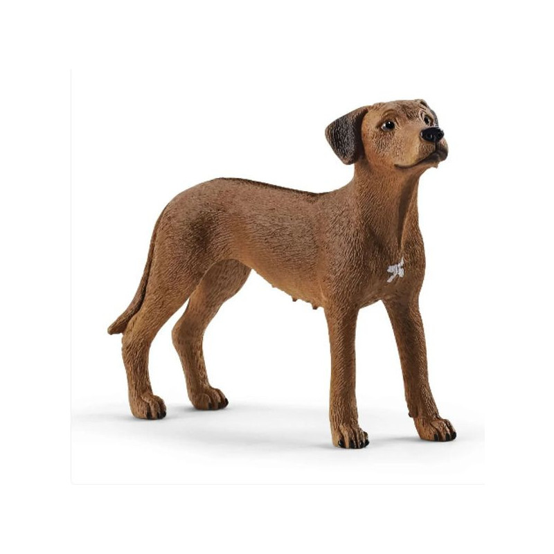 Imagen perro crestado rodesiano schleich 6.5x2x5.1cm