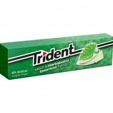 TRIDENT PEPPERMINT 24 UNIDADES