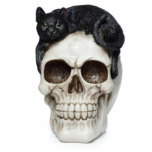 Imagen figura calavera con gato negro