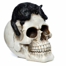 imagen 1 de figura calavera con gato negro