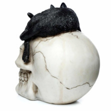 imagen 3 de figura calavera con gato negro