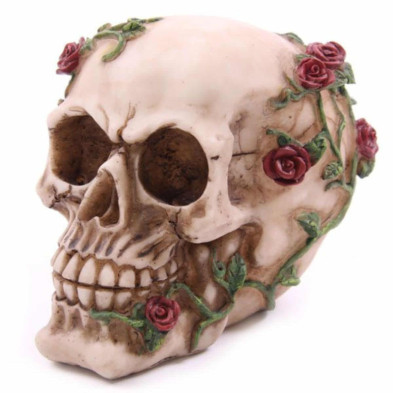 Imagen figura calavera y rosas