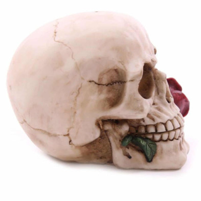 imagen 1 de figura calavera y rosas