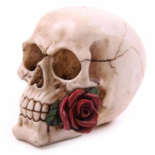 imagen 2 de figura calavera y rosas