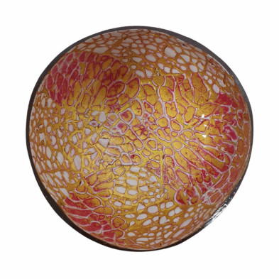 imagen 1 de cuenco de cáscara de coco multicolor