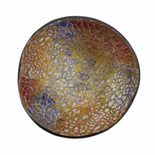 imagen 1 de cuenco de cáscara de coco colores