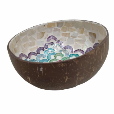 imagen 2 de cuenco de cáscara de coco colores circ
