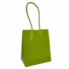 imagen 2 de bolsa lux l chic verde 10x6x12