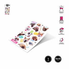 imagen 1 de stickers mascotas lamina adhesiva 10x15cm