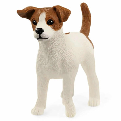 Imagen perro jack russell terrier 5