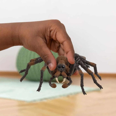 imagen 1 de figura aragog