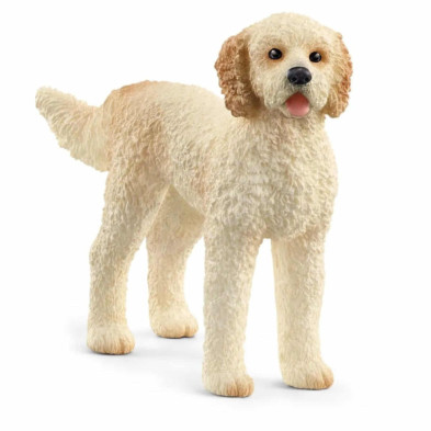 Imagen perro goldendoodle 6