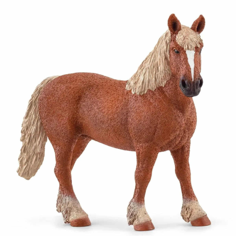 Imagen caballo de tiro belga 14 x 4 Imagen caballo de tiro belga 14 x 4