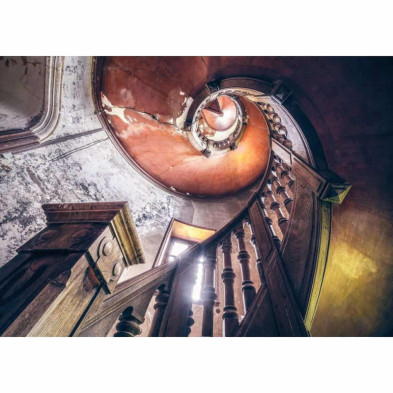 imagen 1 de puzzle escalera de caracol 1000 piezas ravensburge