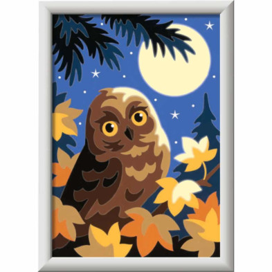 imagen 1 de creart lechuza a la luz de la luna kit para pintar