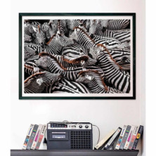 imagen 2 de puzzle zebras national geographic 1000 piezas c