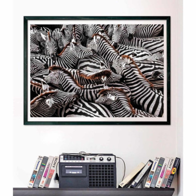 imagen 2 de puzzle zebras national geographic 1000 piezas c