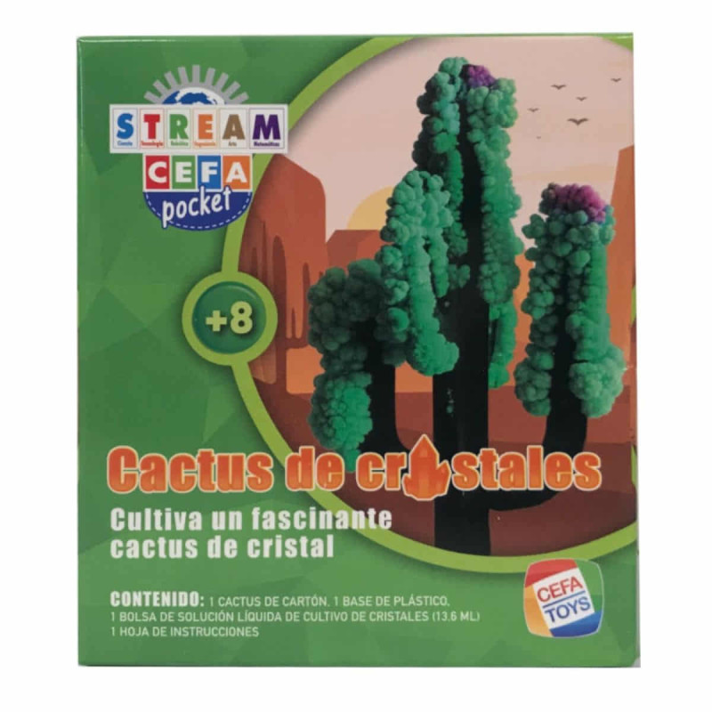 Imagen experimentos ciencia de bolsillo cactus de cristal