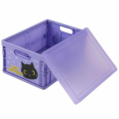 Imagen caja plegable gato negro
