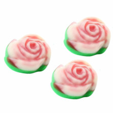 Imagen rosas rellenas bolsa de 1kg jake