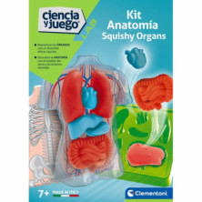 KIT ANATOMÍA SQUISHY ORGANS CIENCIA Y JUEGO CLEMEN