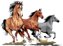 CABALLOS